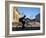 Granada, Man Riding Bike Past Iglesia De La Merced, Nicaragua-Jane Sweeney-Framed Photographic Print