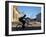 Granada, Man Riding Bike Past Iglesia De La Merced, Nicaragua-Jane Sweeney-Framed Photographic Print