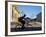 Granada, Man Riding Bike Past Iglesia De La Merced, Nicaragua-Jane Sweeney-Framed Photographic Print