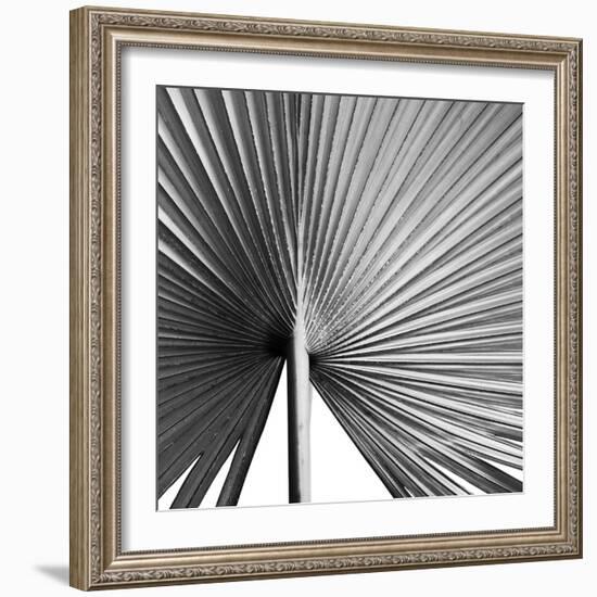 Granada Noir-Ben Wood-Framed Giclee Print