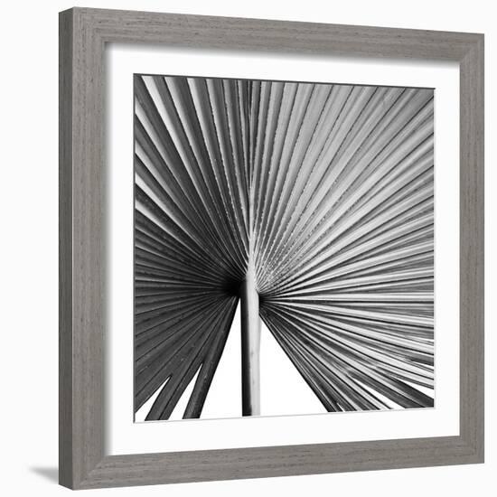 Granada Noir-Ben Wood-Framed Giclee Print