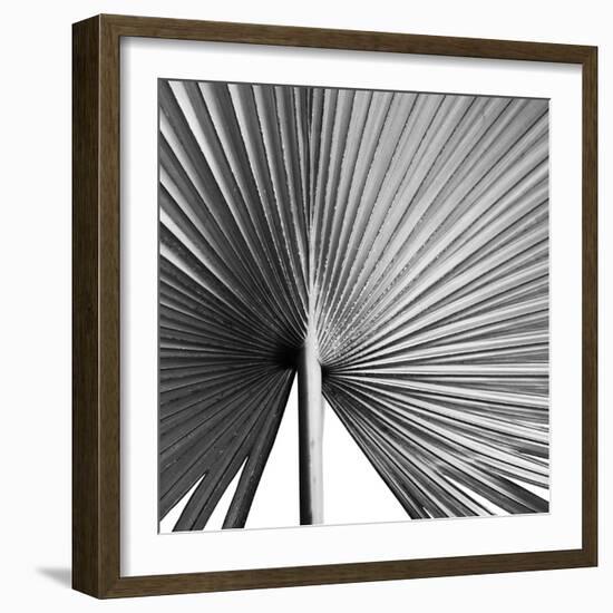 Granada Noir-Ben Wood-Framed Giclee Print