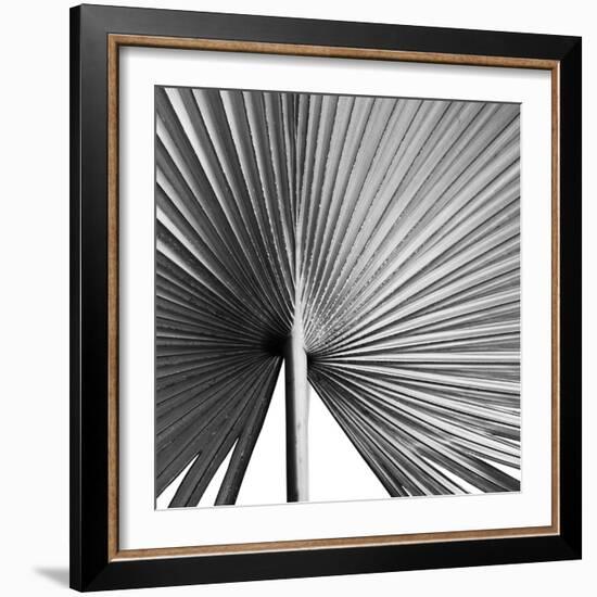 Granada Noir-Ben Wood-Framed Giclee Print