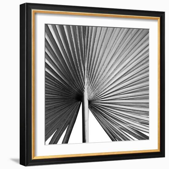 Granada Noir-Ben Wood-Framed Giclee Print