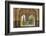 Granada, Spain, Alhambra, Close Up of Architecture in Nasrid Palace-Bill Bachmann-Framed Photographic Print