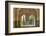 Granada, Spain, Alhambra, Close Up of Architecture in Nasrid Palace-Bill Bachmann-Framed Photographic Print