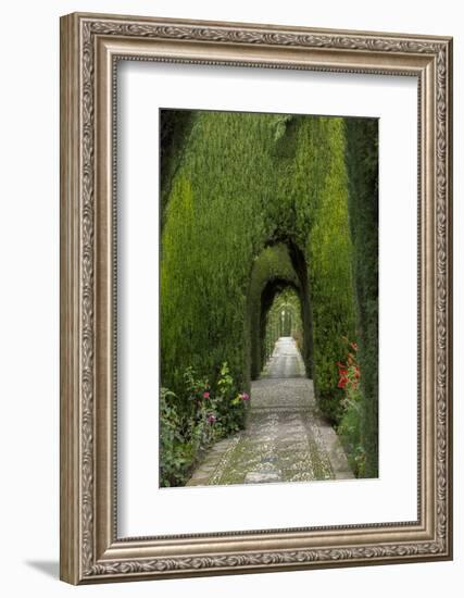 Granada, Spain, Alhambra, Famous Hedges of Gardens of the Generalife-Bill Bachmann-Framed Photographic Print