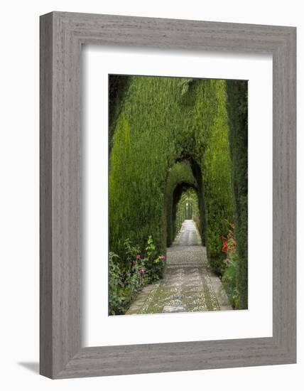 Granada, Spain, Alhambra, Famous Hedges of Gardens of the Generalife-Bill Bachmann-Framed Photographic Print