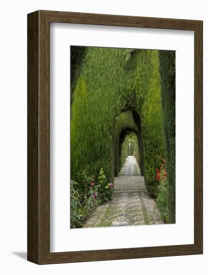 Granada, Spain, Alhambra, Famous Hedges of Gardens of the Generalife-Bill Bachmann-Framed Photographic Print