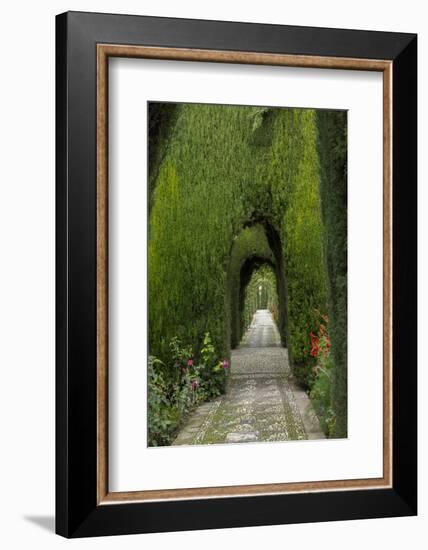 Granada, Spain, Alhambra, Famous Hedges of Gardens of the Generalife-Bill Bachmann-Framed Photographic Print