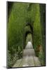 Granada, Spain, Alhambra, Famous Hedges of Gardens of the Generalife-Bill Bachmann-Mounted Photographic Print