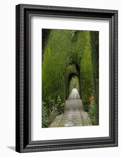 Granada, Spain, Alhambra, Famous Hedges of Gardens of the Generalife-Bill Bachmann-Framed Photographic Print