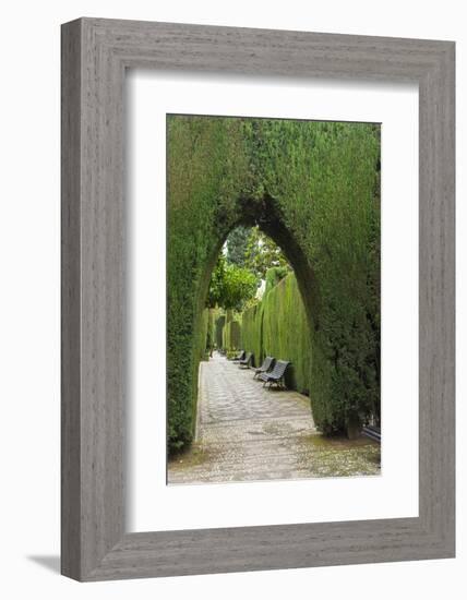 Granada, Spain, Alhambra, Famous Hedges of Gardens of the Generalife-Bill Bachmann-Framed Photographic Print