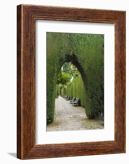 Granada, Spain, Alhambra, Famous Hedges of Gardens of the Generalife-Bill Bachmann-Framed Photographic Print