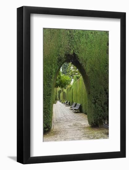 Granada, Spain, Alhambra, Famous Hedges of Gardens of the Generalife-Bill Bachmann-Framed Photographic Print