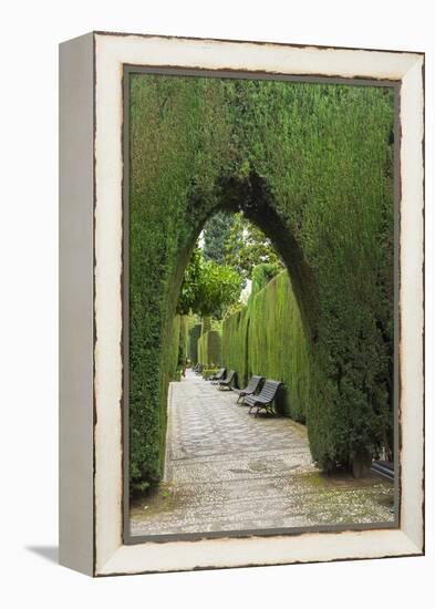 Granada, Spain, Alhambra, Famous Hedges of Gardens of the Generalife-Bill Bachmann-Framed Premier Image Canvas