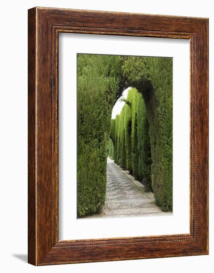 Granada, Spain, Alhambra, Famous Hedges of Gardens of the Generalife-Bill Bachmann-Framed Photographic Print