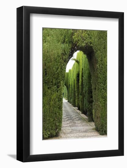 Granada, Spain, Alhambra, Famous Hedges of Gardens of the Generalife-Bill Bachmann-Framed Photographic Print