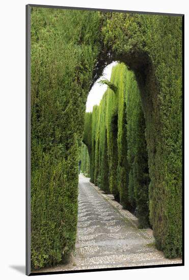 Granada, Spain, Alhambra, Famous Hedges of Gardens of the Generalife-Bill Bachmann-Mounted Photographic Print