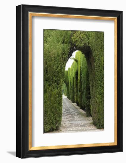 Granada, Spain, Alhambra, Famous Hedges of Gardens of the Generalife-Bill Bachmann-Framed Photographic Print