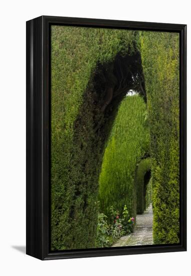 Granada, Spain, Alhambra, Famous Hedges of Gardens of the Generalife-Bill Bachmann-Framed Premier Image Canvas