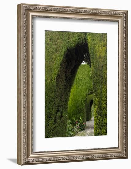 Granada, Spain, Alhambra, Famous Hedges of Gardens of the Generalife-Bill Bachmann-Framed Photographic Print