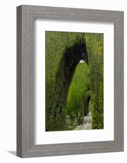 Granada, Spain, Alhambra, Famous Hedges of Gardens of the Generalife-Bill Bachmann-Framed Photographic Print