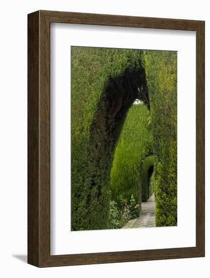 Granada, Spain, Alhambra, Famous Hedges of Gardens of the Generalife-Bill Bachmann-Framed Photographic Print