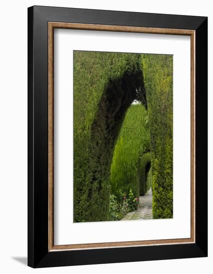 Granada, Spain, Alhambra, Famous Hedges of Gardens of the Generalife-Bill Bachmann-Framed Photographic Print