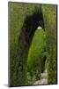 Granada, Spain, Alhambra, Famous Hedges of Gardens of the Generalife-Bill Bachmann-Mounted Photographic Print