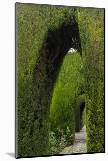 Granada, Spain, Alhambra, Famous Hedges of Gardens of the Generalife-Bill Bachmann-Mounted Photographic Print