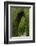 Granada, Spain, Alhambra, Famous Hedges of Gardens of the Generalife-Bill Bachmann-Framed Photographic Print