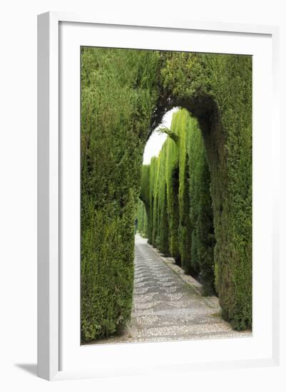 Granada, Spain, Alhambra, Famous Hedges of Gardens of the Generalife-Bill Bachmann-Framed Photographic Print