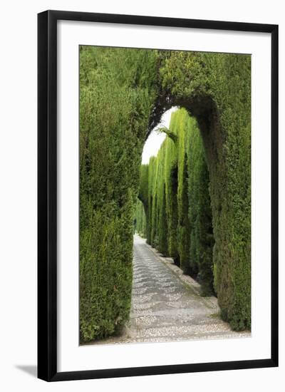 Granada, Spain, Alhambra, Famous Hedges of Gardens of the Generalife-Bill Bachmann-Framed Photographic Print