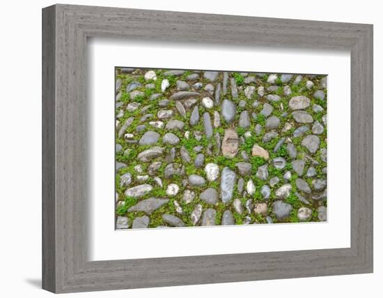 Granada, Spain. Ancient stone walkway with moss-Julien McRoberts-Framed Photographic Print