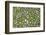 Granada, Spain. Ancient stone walkway with moss-Julien McRoberts-Framed Photographic Print