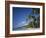 Grand Anse Beach, Grenada, Caribbean Islands-null-Framed Photographic Print