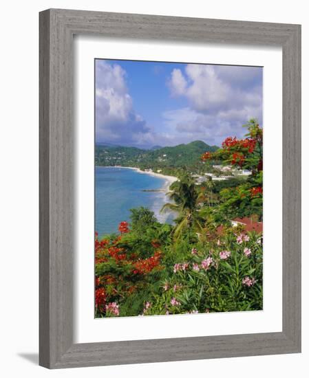 Grand Anse Beach, Grenada, Caribbean, West Indies-Robert Harding-Framed Photographic Print