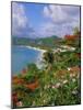 Grand Anse Beach, Grenada, Caribbean, West Indies-Robert Harding-Mounted Photographic Print