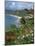 Grand Anse Beach, Grenada, Windward Islands, West Indies, Caribbean, Central America-Robert Harding-Mounted Photographic Print