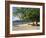 Grand Anse Beach, Grenada, Windward Islands, West Indies, Caribbean, Central America-Harding Robert-Framed Photographic Print