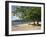 Grand Anse Beach, Grenada, Windward Islands, West Indies, Caribbean, Central America-Harding Robert-Framed Photographic Print