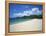 Grand Anse Beach, Grenada, Windward Islands, West Indies, Caribbean, Central America-Harding Robert-Framed Premier Image Canvas