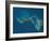 Grand Bahama and Abaco Islands, Bahamas, Satellite Image-null-Framed Photographic Print