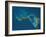 Grand Bahama and Abaco Islands, Bahamas, Satellite Image-null-Framed Photographic Print