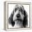 Grand Basset Griffon Vendeen Black and White-null-Framed Premier Image Canvas