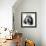 Grand Basset Griffon Vendeen Black and White-null-Framed Photographic Print displayed on a wall