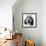 Grand Basset Griffon Vendeen Black and White-null-Framed Photographic Print displayed on a wall