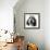 Grand Basset Griffon Vendeen Black and White-null-Framed Photographic Print displayed on a wall