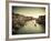 Grand Canal from the Rialto, Venice, Italy-Jon Arnold-Framed Photographic Print